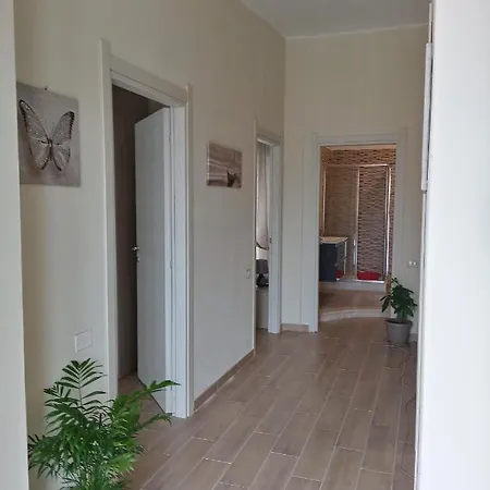 Apartment Luminoso Con Terrazza......c.u......q2483 Sinnai