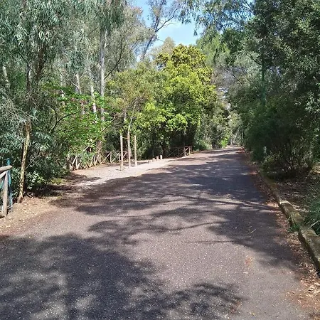 Luminoso Con Terrazza......c.u......q2483 * Sìnnai