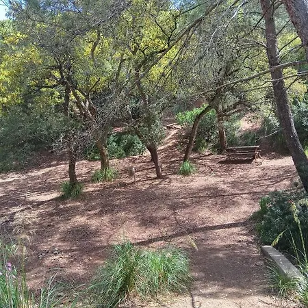 Luminoso Con Terrazza......c.u......q2483 Apartament