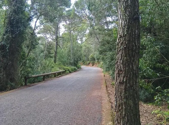 Luminoso Con Terrazza......c.u......q2483