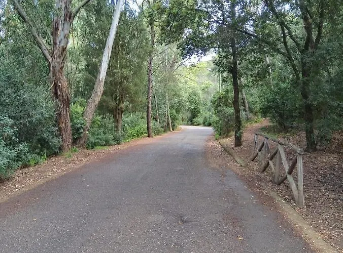 Luminoso Con Terrazza......c.u......q2483 Sìnnai