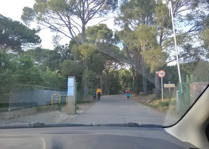 Luminoso Con Terrazza......c.u......q2483 アパート *