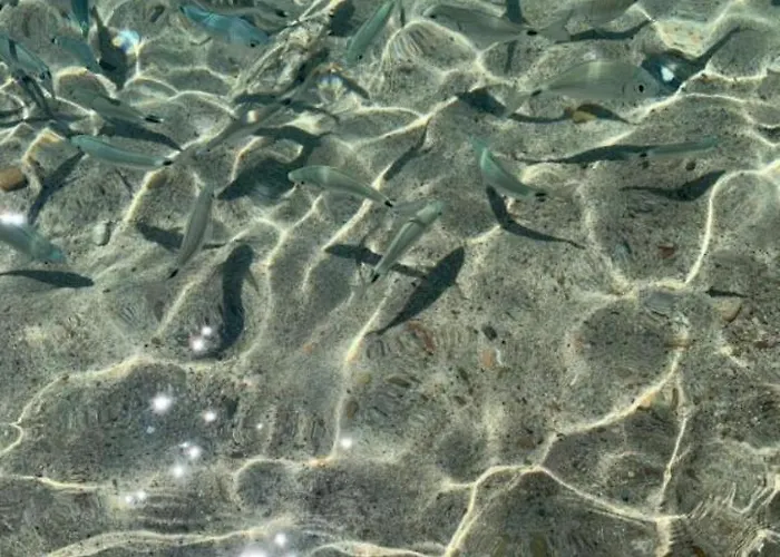 Luminoso Con Terrazza......c.u......q2483 Sìnnai